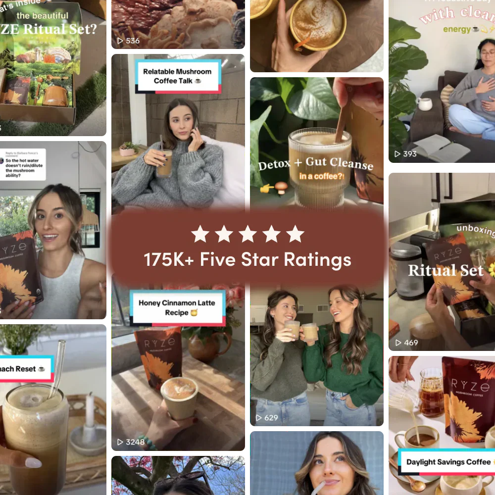 Mushroom Coffee Dark Roast Starter Kit 60 Serving